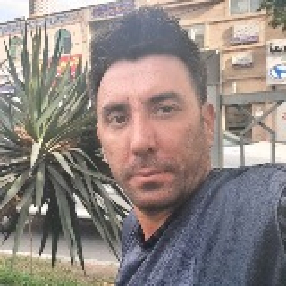 Avatar